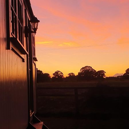The Old Mill Shepherds Hut Okehampton Kültér fotó