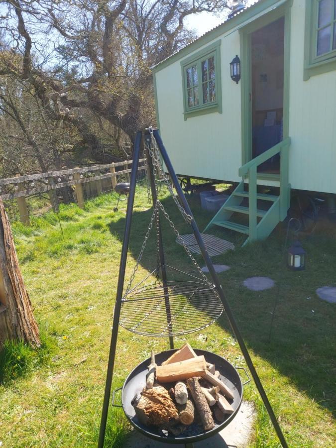 The Old Mill Shepherds Hut Okehampton Kültér fotó